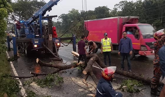 ঝড়ে গাছ পড়ে ঢাকা-চট্টগ্রাম মহাসড়কে তীব্র যানজট