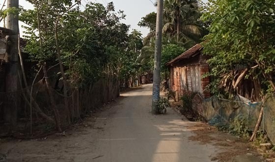 কলারোয়ার কোঠাবাড়ি রোডে চরম ভোগান্তিতে এলাকাবাসী