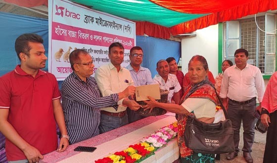 লালমনিরহাটে ৪৩ পরিবারের মাঝে হাঁসের বাচ্চা বিতরণ