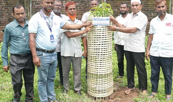 বিশ্ব পরিবেশ দিবস উপলক্ষে র‌্যালী ও বৃক্ষ রোপন কর্মসূচি