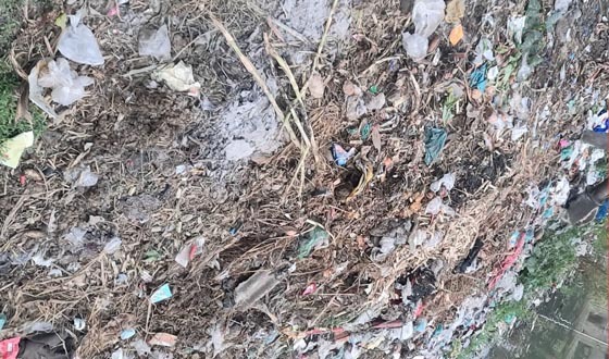 কালীগঞ্জ পৌরসভা এলাকা দুর্গন্ধে অতিষ্ঠ জনজীবন