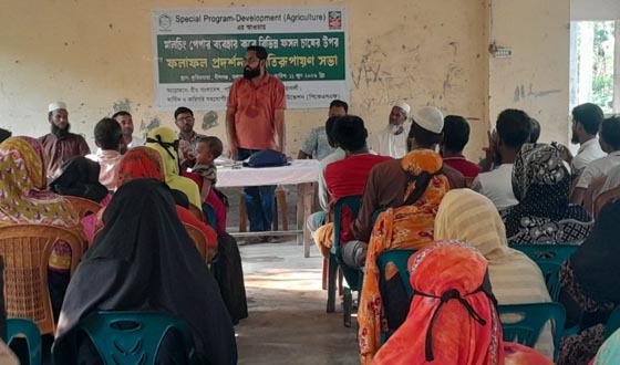 কলাপাড়ায় মালচিং পেপার ব্যবহারে কৃষকরা লাভবান হচ্ছে