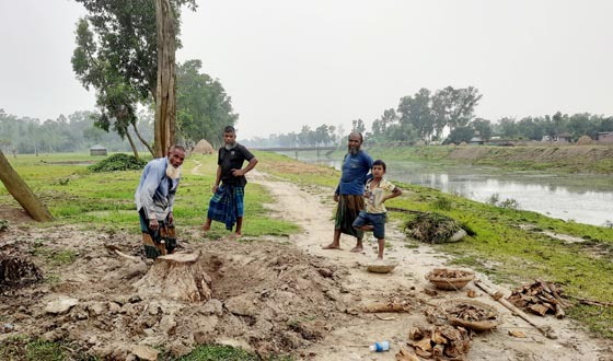 সৈয়দপুরে চুরি হচ্ছে পানি উন্নয়ন বোর্ডের সরকারি গাছ
