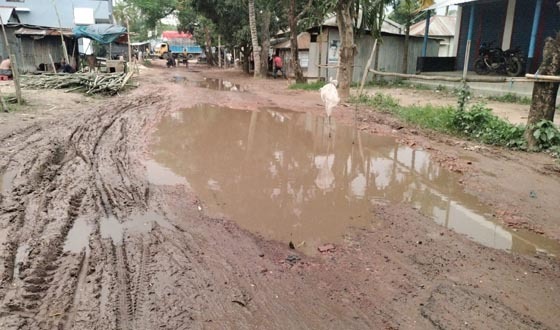 পুঠিয়ায় পুকুর খননের মাটি চড়া দামে বিক্রি