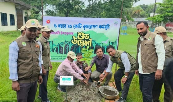 তালতলীতে প্রধানমন্ত্রীর বৃক্ষরোপণ কর্মসূচির শুভ উদ্বোধন