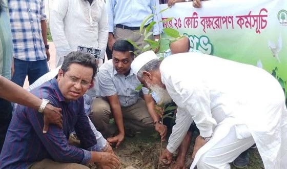 বৃক্ষরোপণ কর্মসূচির উদ্বোধন করলেন সংসদ সদস্য ইজ্জত উল্লাহ