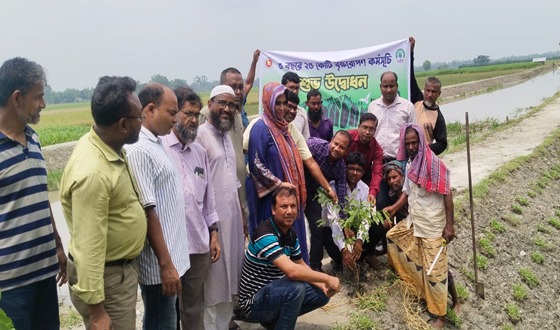 রাজারহাটে কিশামত নাখেন্দা খালপাড়ে বৃক্ষরোপণ করলেন ইউএনও