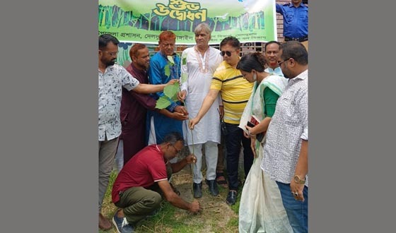 দেলদুয়ারে বৃক্ষরোপণ কর্মসূচির শুভ উদ্বোধন