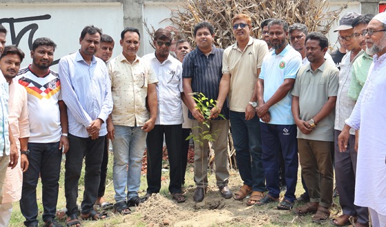 সিংড়ায় বৃক্ষরোপন কর্মসূচির উদ্বোধন করেন ইউএনও