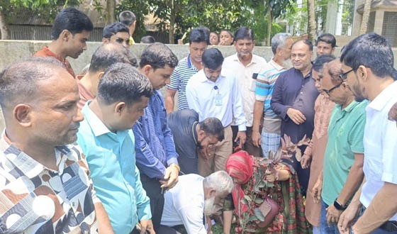 প্রধানমন্ত্রী তারেক রহমানের নির্দেশনায় বৃক্ষরোপণ