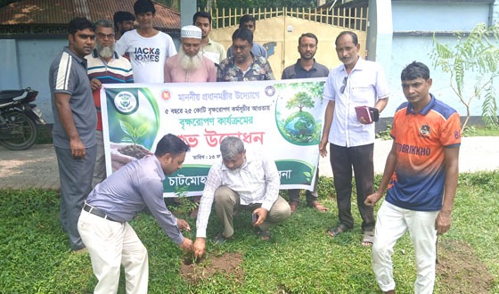 চাটমোহরে বৃক্ষরোপণ কার্যক্রমের উদ্বোধন