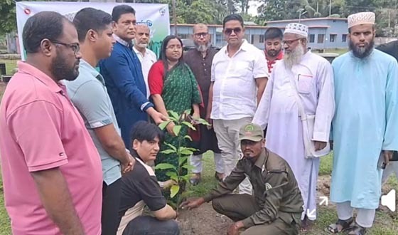 শরণখোলায় প্রধানমন্ত্রীর ঘোষিত বৃক্ষরোপণ কর্মসূচির উদ্বোধন