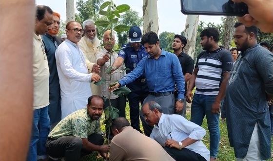 রাজিবপুরে বৃক্ষরোপণ কর্মসূচির উদ্বোধন
