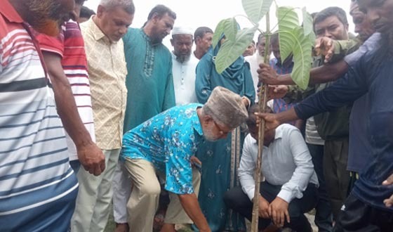 আশাশুনিতে বৃক্ষরোপন  কর্মসূচি উদ্বোধন