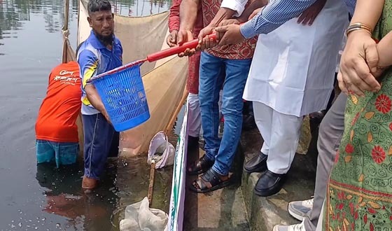 টাঙ্গাইলে মাছের পোনা অবমুক্তকরণ