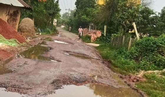মুন্ডমালা-সাতপুকুরিয়া সড়কের বেহাল দশা, ভোগান্তি চরমে