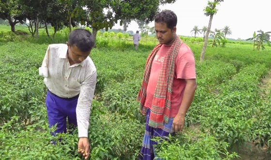 প্রতিবন্ধকতাকে জয় করে কৃষকের নির্ভরতার নাম মফিজ