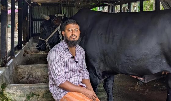 খালেদা জিয়াকে ‘কালো মানিক’ উপহার দেওয়া সোহাগ গ্রেপ্তার