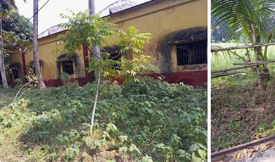 দিঘলিয়ায় পাটশিল্প বিংশ শতাব্দী শেষ না হতেই শেষ