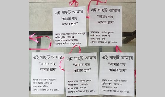 কলারোয়া প্রাথমিক বিদ্যালয়ে ‘আমার গাছ আমার প্রাণ’ কর্মসূচি, চারা রোপণের প্রস্তুতি সম্পন্ন