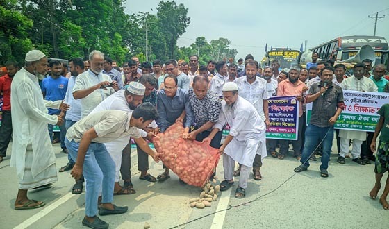 হিমাগারে আলু সংরক্ষণের ভাড়া বৃদ্ধির প্রতিবাদে মহাসড়ক অবরোধ
