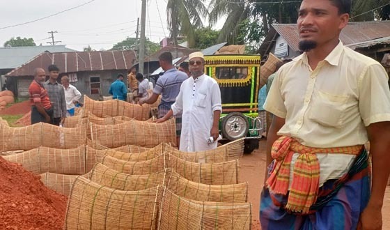 কাউখালীতে অবাধে ‘চাই’ দিয়ে মাছ শিকার