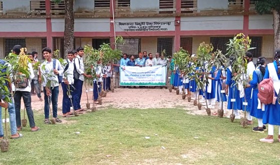 চাটমোহরে প্রতিযোগিতা ও গাছের চারা বিতরণ