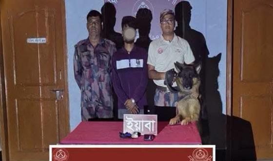 টেকনাফে ২১ হাজার পিস ইয়াবা উদ্ধার, আটক ১