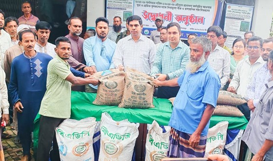 ফুলবাড়ীতে কৃষকের মাঝে বিনামূল্যে সার ও ধানের বীজ বিতরণ