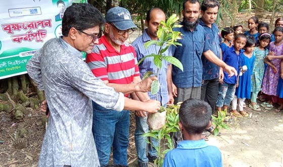 নড়াগাতীতে বৃক্ষরোপণ কর্মসূচি