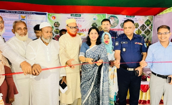 কাপাসিয়ায় বর্ণাঢ্য আয়োজনে ৩দিন ব্যাপী ফল মেলা শুরু