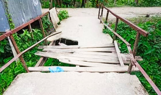 বাবুগঞ্জের লোহালিয়া-সিংহেরকাঠী সংযোগ ব্রিজের বেহাল অবস্থা