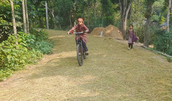 সড়ক ও শিক্ষা প্রতিষ্ঠান দখল করে ধানের খড় শুকানোর হিড়িক