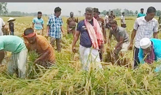 খেটে খাওয়া মানুষের সাথে দারুন সখ্য গড়ে তুলেছেন এমপি বাবুল