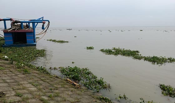 অবৈধ বালু উত্তোলন, হুমকির মুখে নদীর তীরে প্রকল্প ও জনবসতি