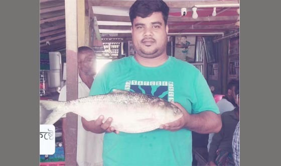 মনপুরায় জেলের জালে রাজা ইলিশ, দাম ৯ হাজার টাকা