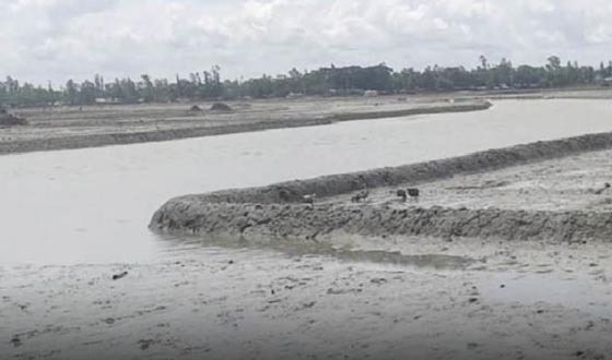 কুতুবদিয়ায় দখল ও ভরাটে অস্তিত্ব বিপন্নের পথে ৪ খাল