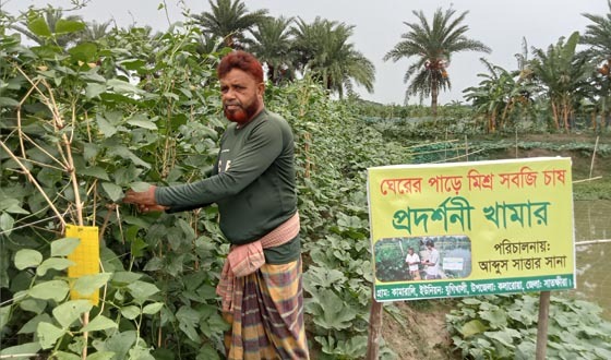 কামারালী এখন আদর্শ গ্রাম, নেপথ্যে উদ্যোক্তা আব্দুস সাত্তার