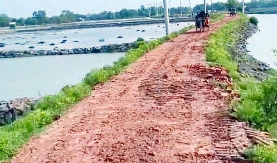 দুই যুগ সড়ক সংস্কার না হওয়ায় চরম ভোগান্তি