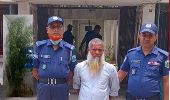 বাঘায় গাঁজা চাষী আটক