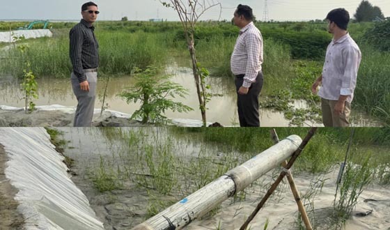 লৌহজংয়ে নদীর পাড়ে অবৈধ ভরাটের বিরুদ্ধে প্রশাসনের অভিযান