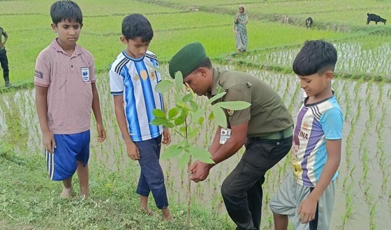 তানোরে  নিজ অর্থায়নে বৃক্ষ রোপন করলেন আনসার কমান্ডার
