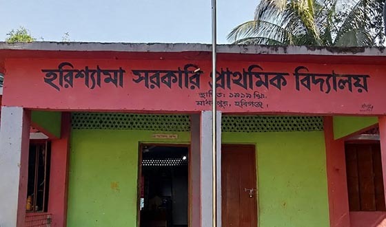 মাধবপুরে ৬ শিক্ষকের বিদ্যালয়ে ৫০ শিক্ষার্থী