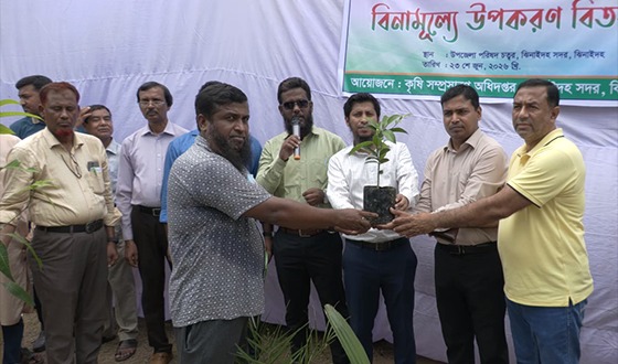 ঝিনাইদহে কৃষকদের ৭ হাজার গাছের চারা ও জৈব সার বিতরণ