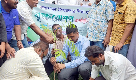 পরিবেশ সুরক্ষায় কলাপাড়ায় বৃক্ষরোপণ কর্মসূচি