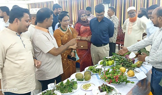চাটমোহরে তিন দিনব্যাপি ফল মেলা উদ্বোধন