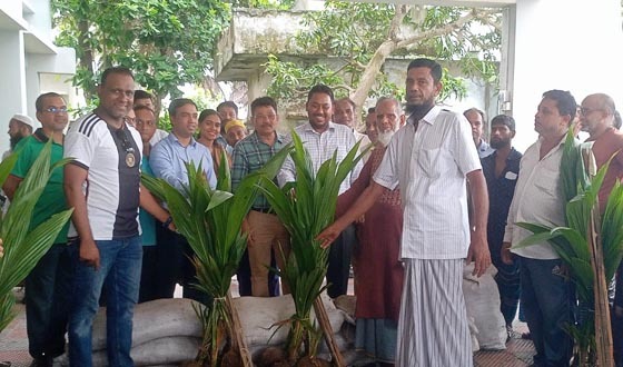 কাউখালীতে গাছের চারা বিতরণ