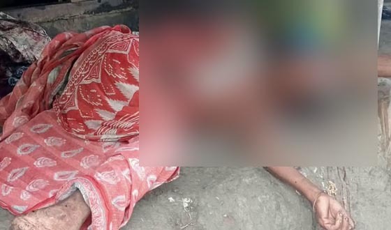 পাইকগাছায় বৃদ্ধাকে এলোপাতাড়ি কুপিয়েছে দুর্বৃত্তরা