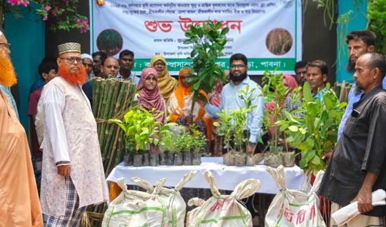 ভাঙ্গুড়ায় কৃষকদের মাঝে বিনামূল্যে বীজ ও চারা বিতরণ