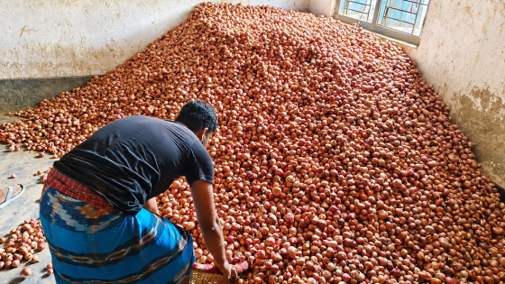 রাজশাহীতে পেঁয়াজের বাজারে নজিরবিহীন দরপতন